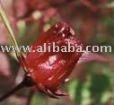 Dried Hibiscus Flower