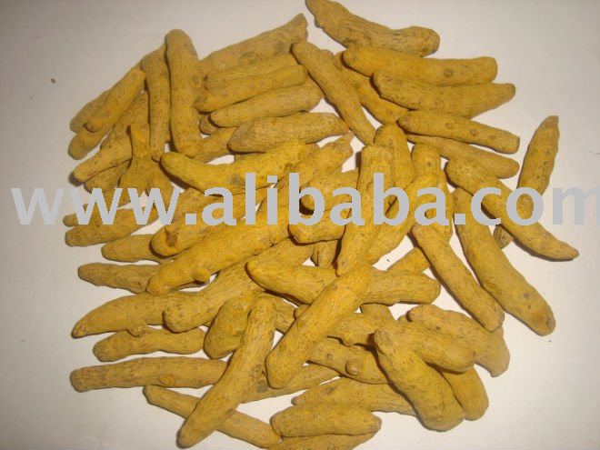 Indian Turmeric fingers