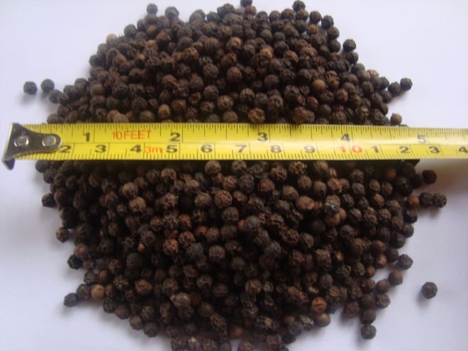 Black Pepper MG1