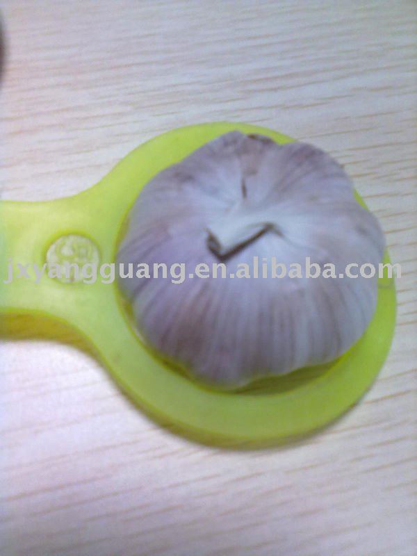 normal white garlic in 10kg/mesh bag