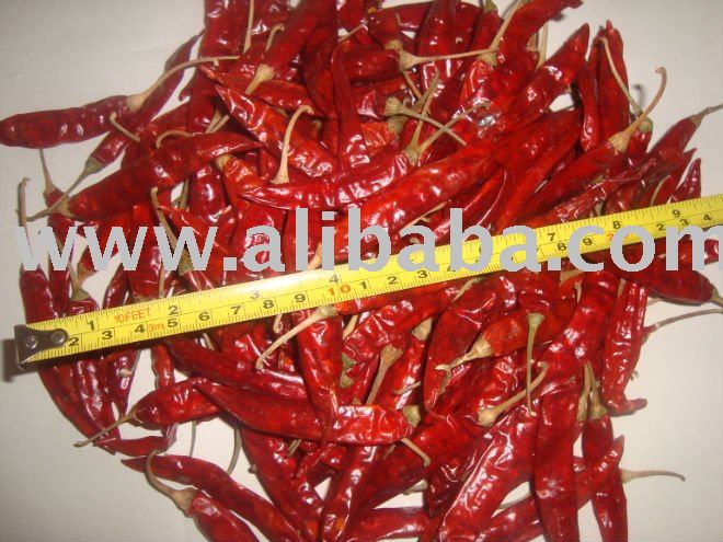 Indian  Red  Dry  Chilli   Guntur  334,  Guntur  Teja, Byadagi 273 Wrinkle