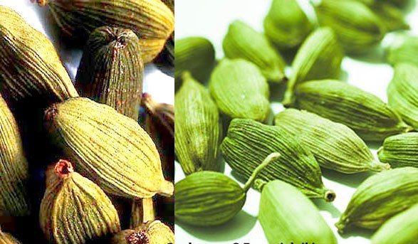 High Quality Yellow and Green Cardamom and Cinnamon