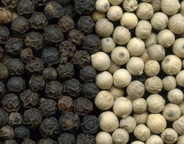 Black and White pepper (piper nigrum)