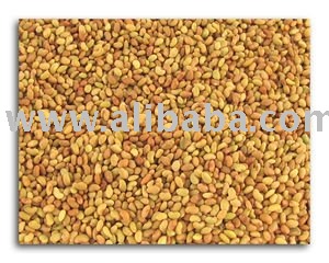 alfafa seeds