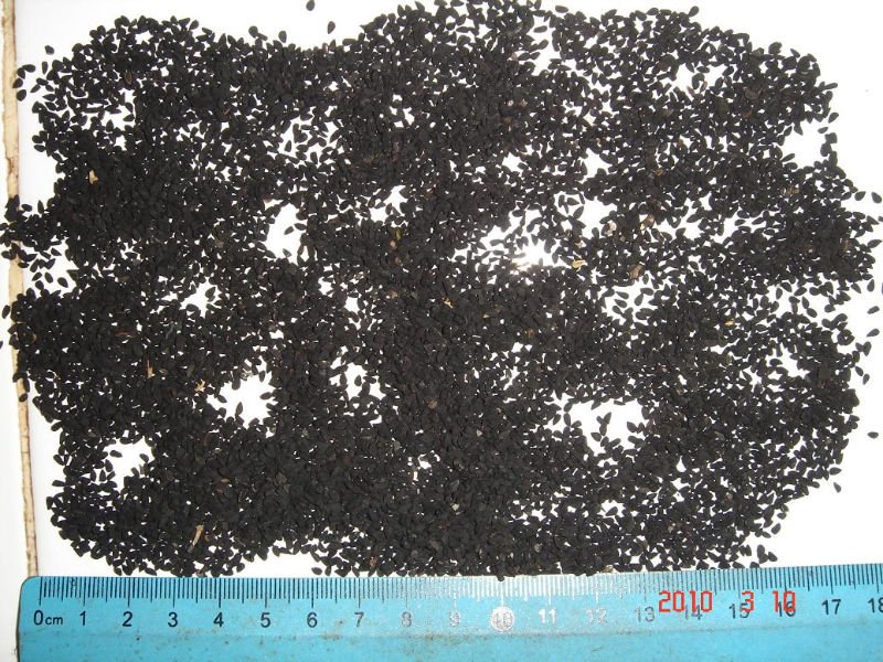Please contact me for Black Cumin, Blackpepper, Whitepepper, Nutmeg