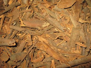 Broken cassia