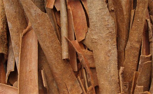Cinnamon scraped