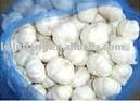  Laiwu   fresh  white  garlic 