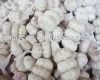 Laiwu white garlic