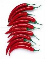 quality dry chillies peppers ready for supply now