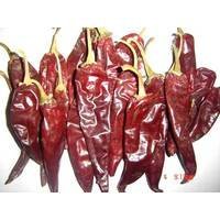 quality  dry   chilli es  pepper s ready for supply
