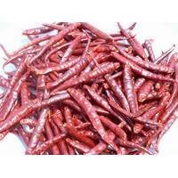 quality  dry   chilli es  pepper s ready for supply