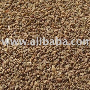 cheap dried Celery Seeds