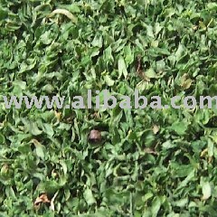 cheap  Dried   Parsley 
