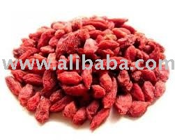 GONJI BUD          spice leaves powder and estract available for sale