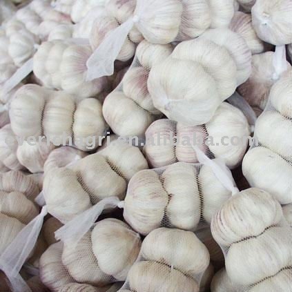Fresh White  Gralic