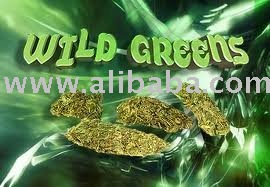 BENZOIN GUM PIECES herbal legal spice leaves powder and estract available for sale