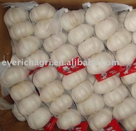 Fresh Pure White  Gralic