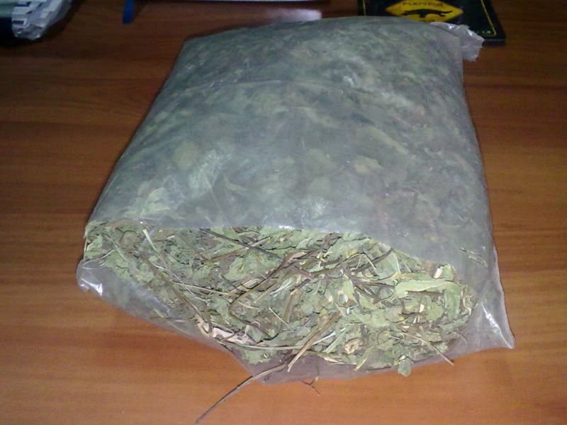 Pepper  Mint   leaf 
