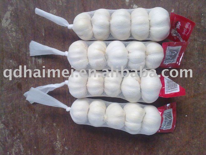 fresh chinese normal/pure white garlic