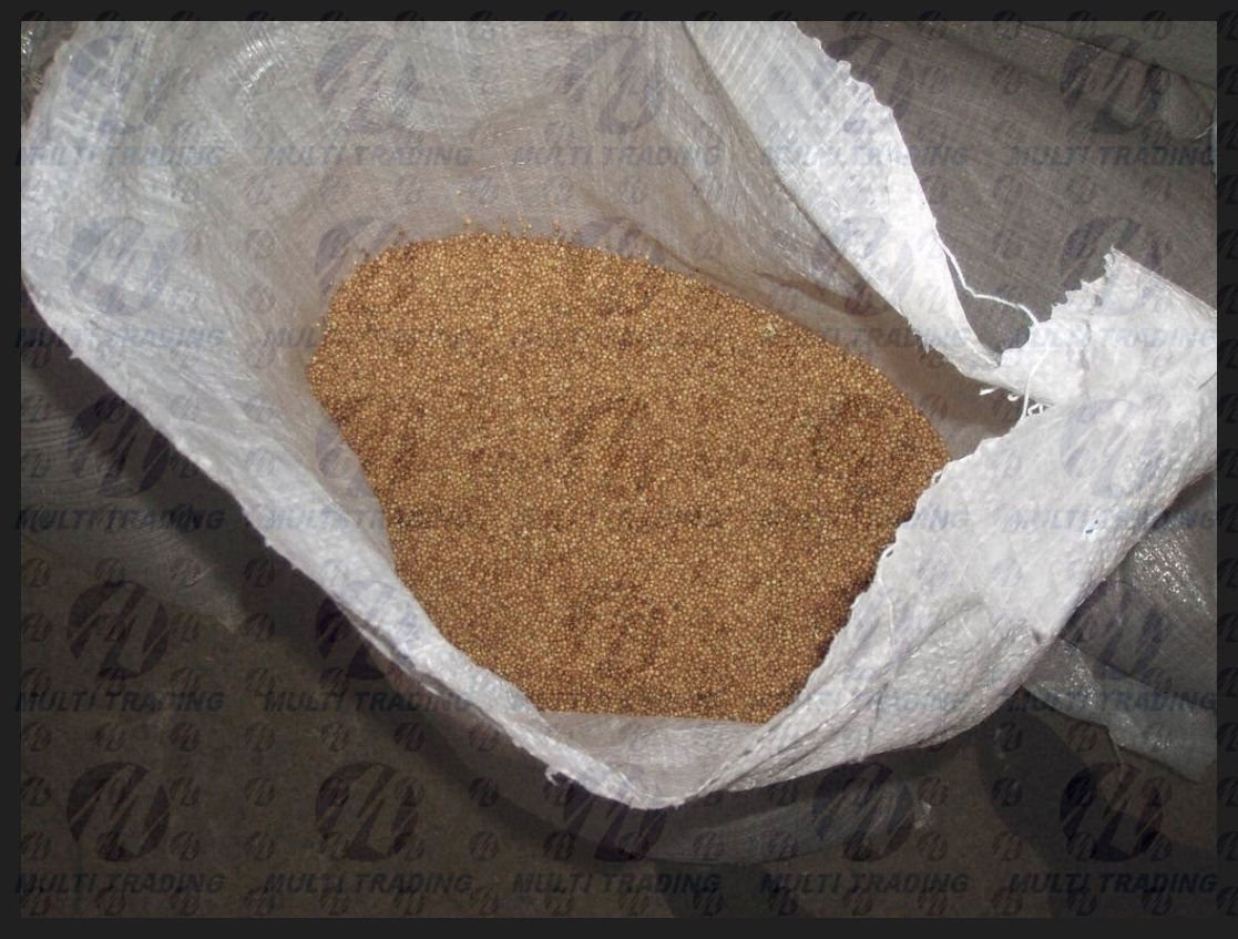 Whole Coriander Seeds Bulgarian Origin