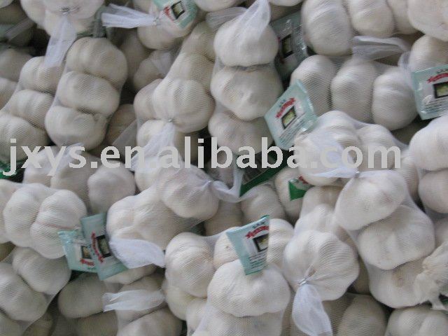 super chinese garlic
