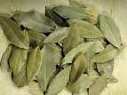  Laurel   leaves 