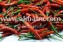 fresh red chilli