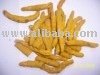 FRESH TURMERIC