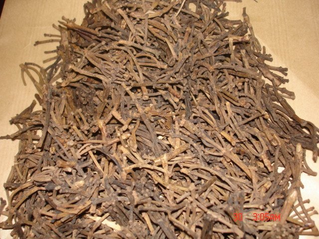 Clove stem