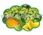 Agricultural Products - Grains, Pulses, Cashew, Tea, Coffee, Flowers, Fruits,  Spice s,  Vegetables 