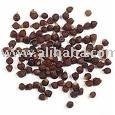 grains of paradise