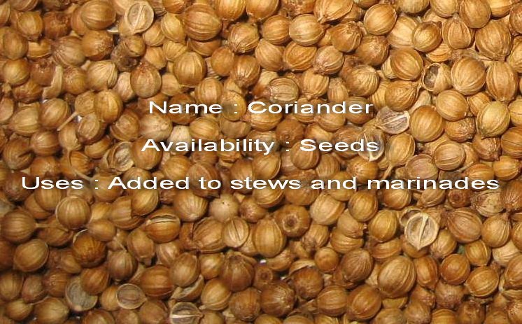 Coriander