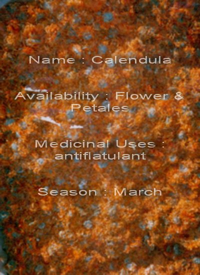 calendula flower & petals