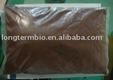 Top qualituy  Dandelion   Extract   Powder 