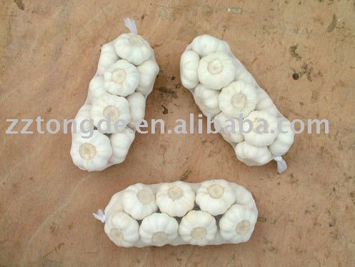 2010  garlic
