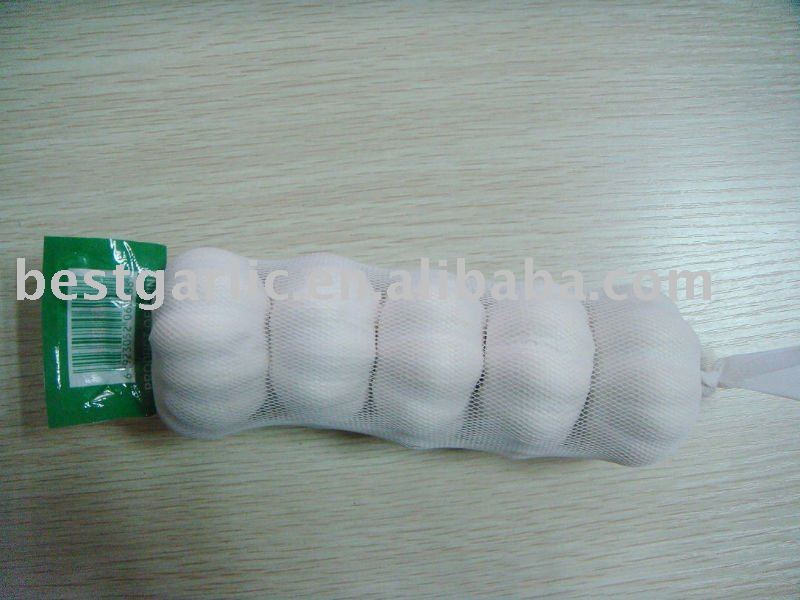 Fresh Garlic  5P/Mesh bag