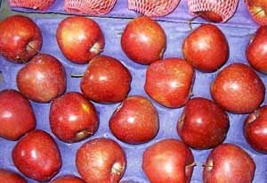 Red Star Apple