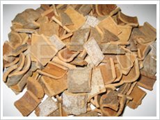 Square-cut cassia