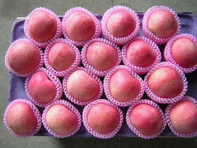 Red Star Apples