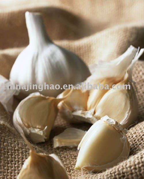 Super Quality Chinese Fresh White and Red Garlic
