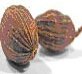 SPICES -  Nutmeg with/without shell
