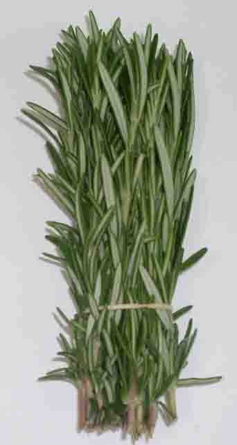 Rosemary