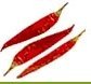 SPICES -  Red Chilly