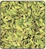 Fennel Seed