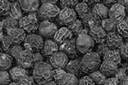 Black Pepper