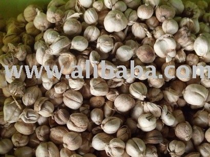 Herb - Dried Cardamom (Krawan)