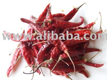 Herb - Dried Chilli