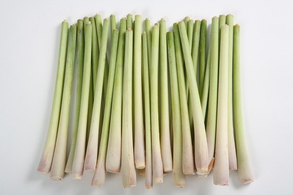 Lemon Grass Whole Spears