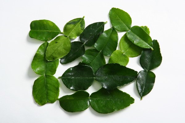 Whole Lime Leaves products,Thailand Whole Lime Leaves supplier